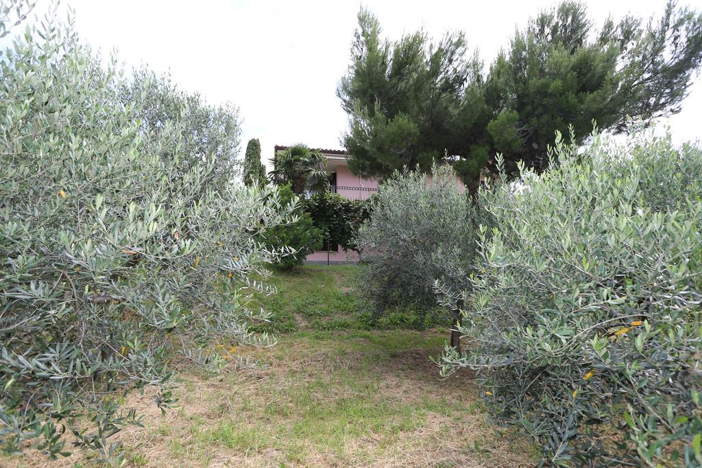 Mejak&Bordon Villa Sečovlje Exterior foto
