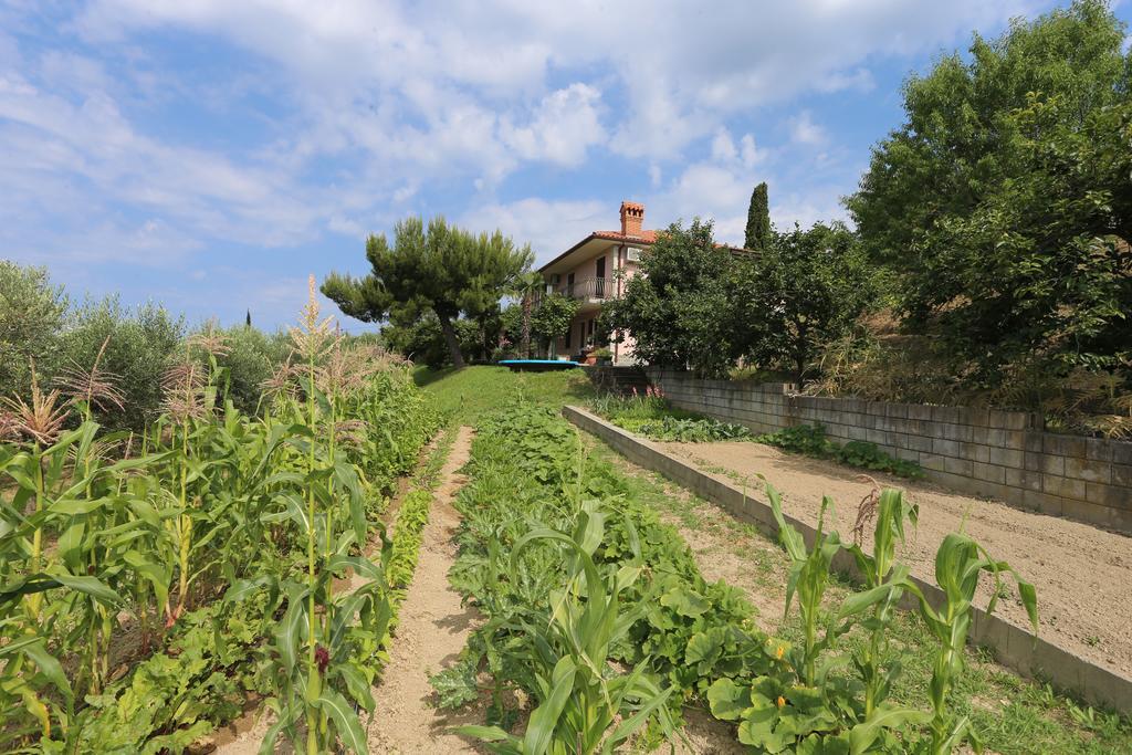Mejak&Bordon Villa Sečovlje Exterior foto